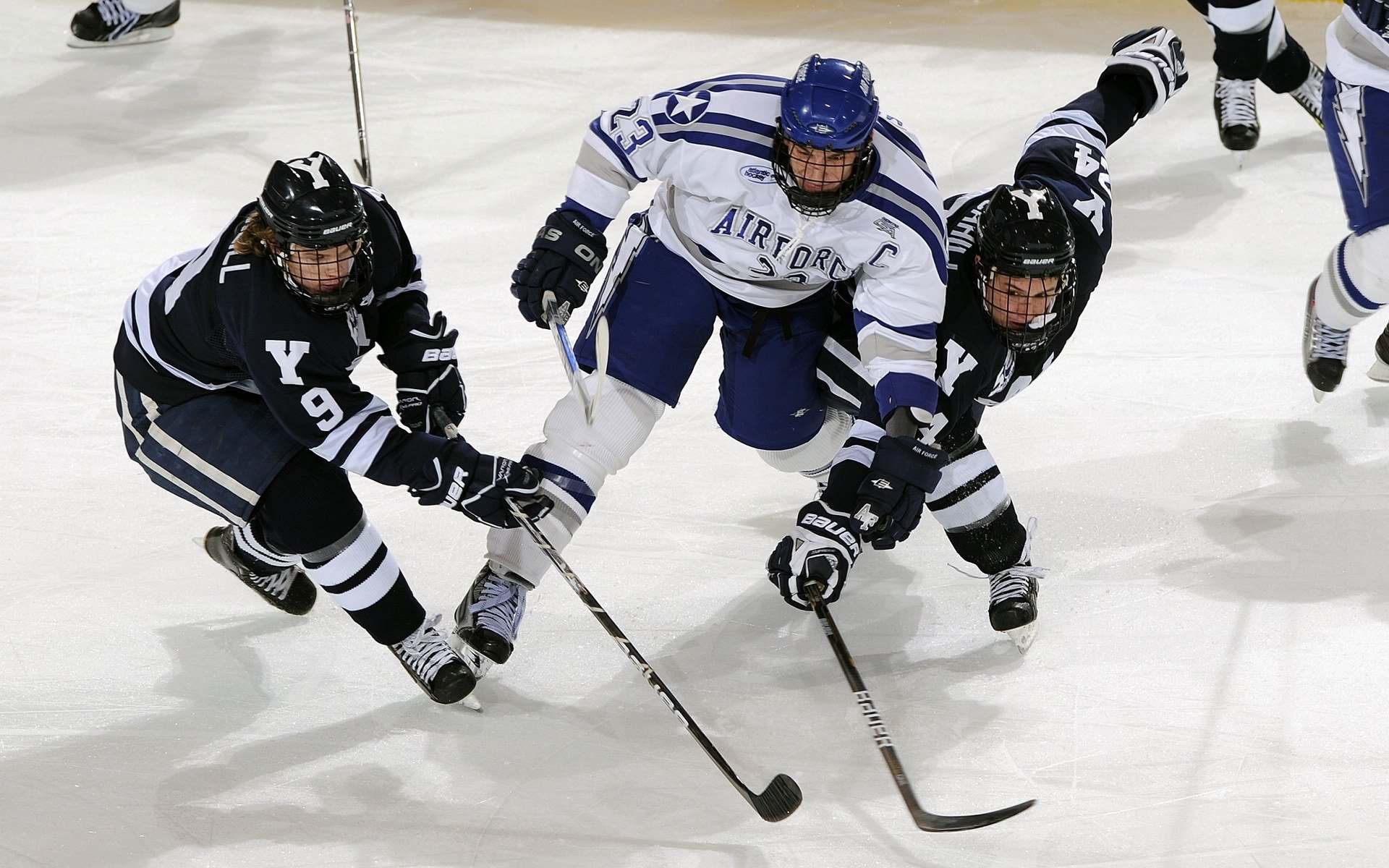 _猛龙突如其来，逆转战术卓越_，猛龙反击