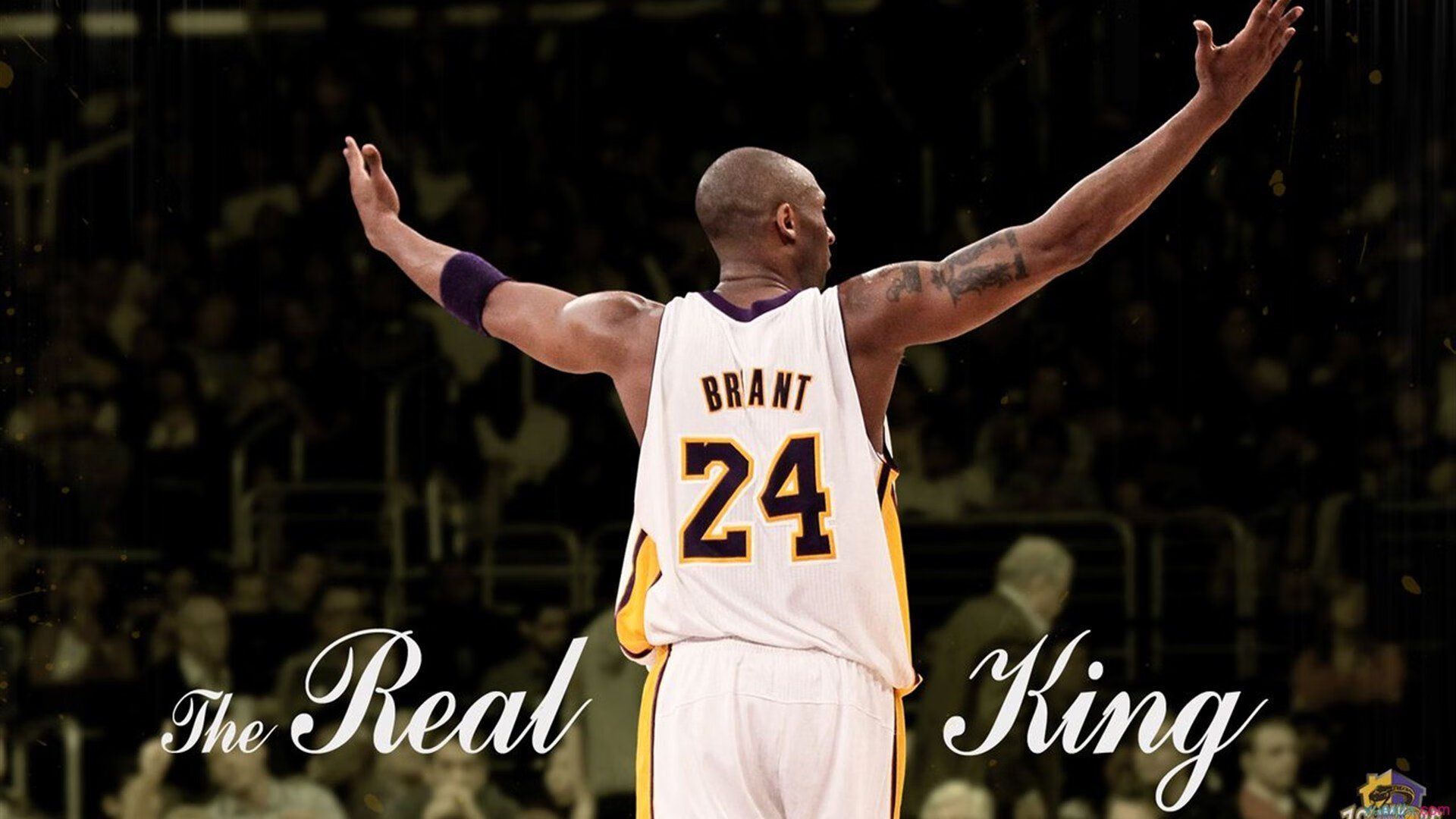 _老将经验如金，奇才稳扎稳打_，经验丰富的老将